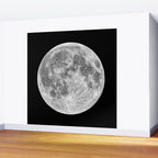 Full Moon Wall Mural Gallery Image 2