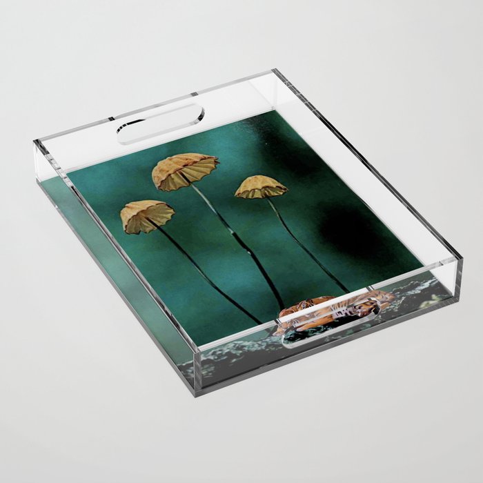 Resting Tigers Acrylic Tray Gallery Image 1