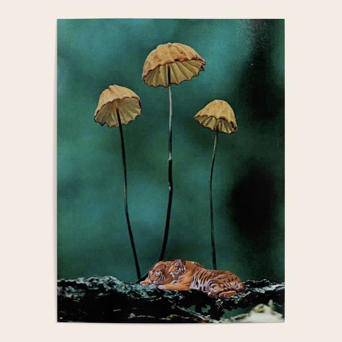 Resting Tigers Poster Gallery Image 4