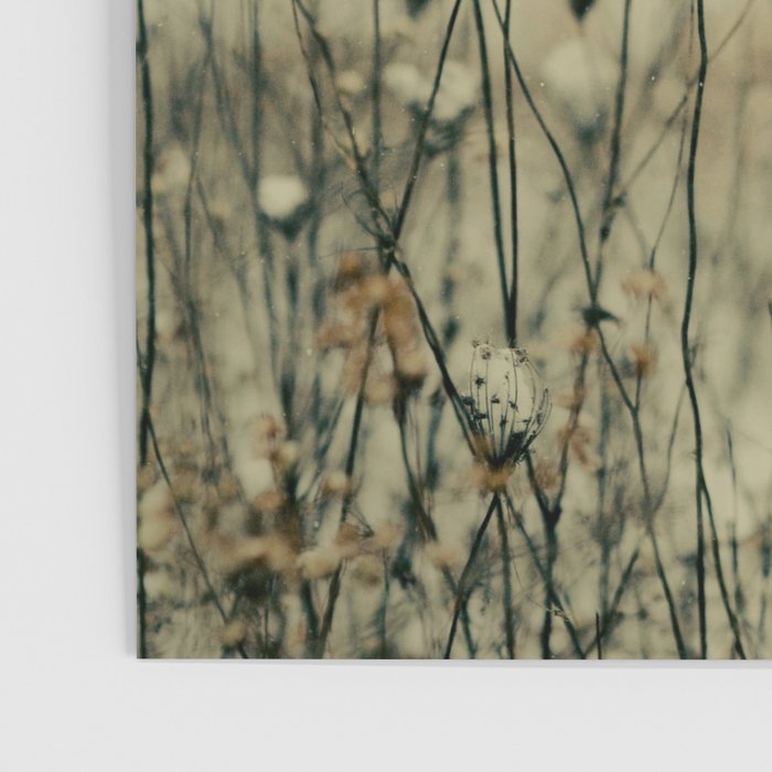 Winter Solitude Poster Gallery Image 3