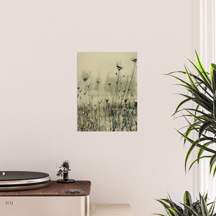 Winter Solitude Poster Gallery Image 2