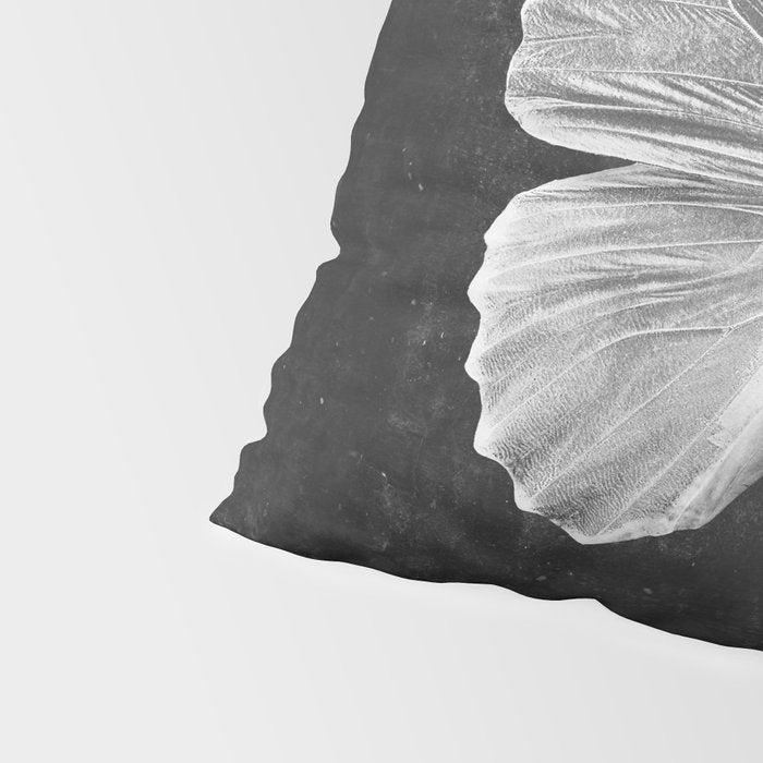 Butterfly in Black Pillow Sham Gallery Image 4