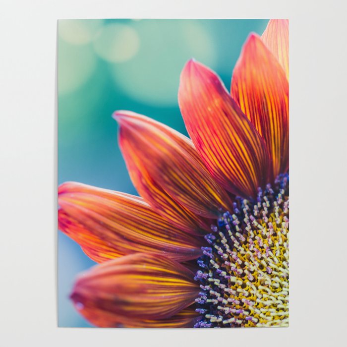 Autumn Welcome Poster Gallery Image 4