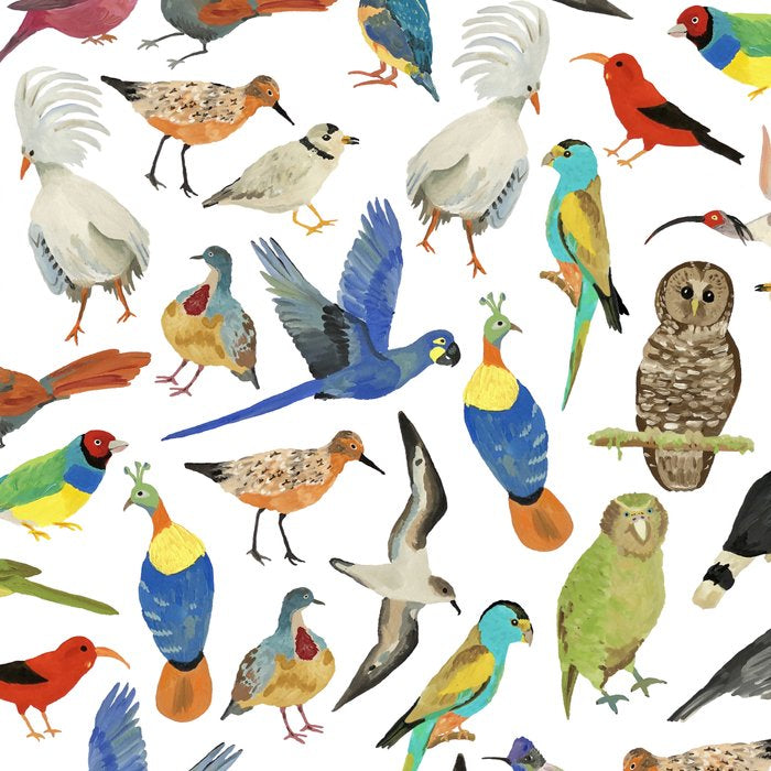 Endangered Birds Around the World Coffee Mug Gallery Image 2