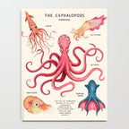 THE CEPHALOPODS Notebook Gallery Image 4