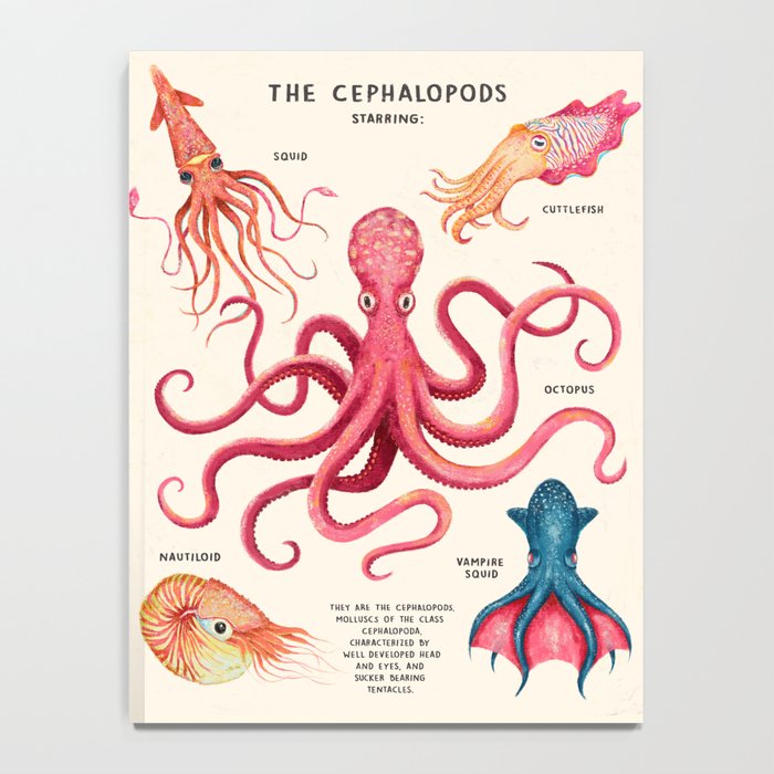 THE CEPHALOPODS Notebook Gallery Image 4
