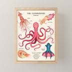 THE CEPHALOPODS Mini Art Print Gallery Image 1