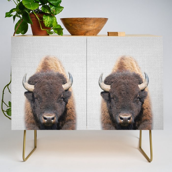 Buffalo - Colorful Credenza Gallery Image 1