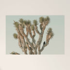 Joshua Tree With Crow - Modern Fine Art Photograph Welcome Mat Gallery Image 1