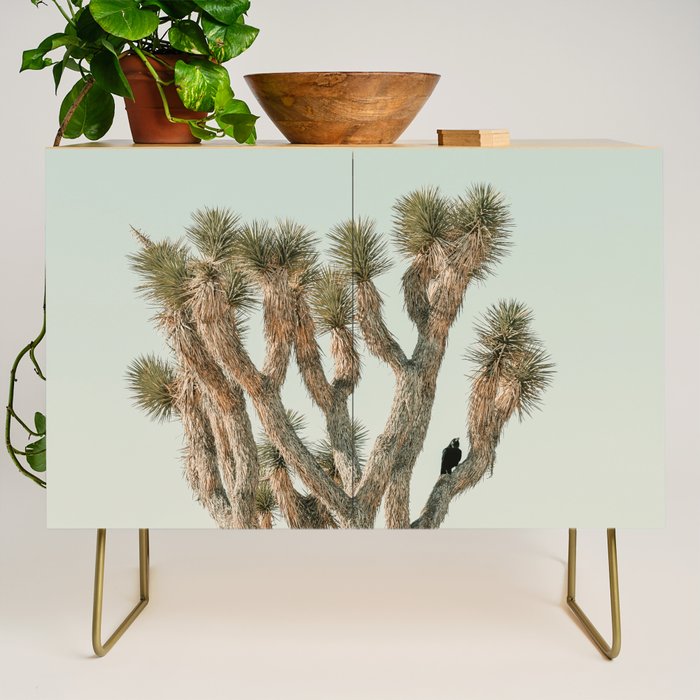 Joshua Tree With Crow - Modern Fine Art Photograph Credenza Gallery Image 1