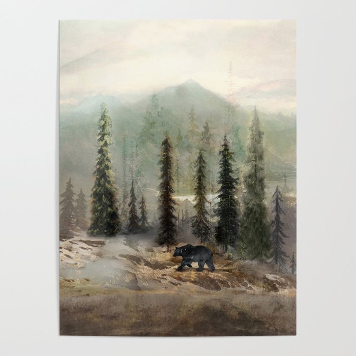 Mountain Black Bear Poster Gallery Image 1