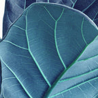 Fiddle Leaf Fig Plant - Fine Art Photography Coffee Mug Gallery Image 2