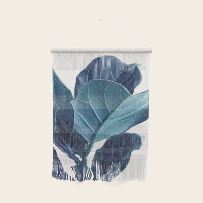 Fiddle Leaf Fig Plant - Fine Art Photography Wall Hanging Gallery Image 1
