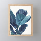 Fiddle Leaf Fig Plant - Fine Art Photography Mini Art Print Gallery Image 1