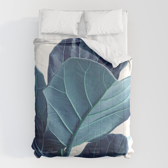 Fiddle Leaf Fig Plant - Fine Art Photography Comforter Gallery Image 6