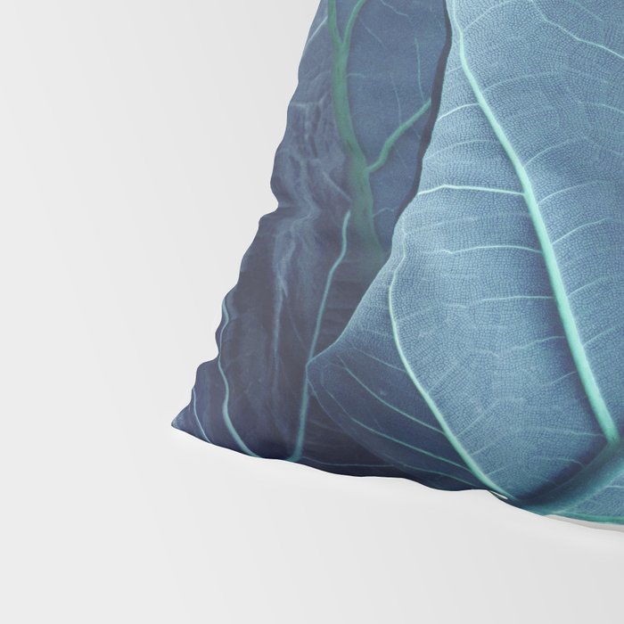 Fiddle Leaf Fig Plant - Fine Art Photography Pillow Sham Gallery Image 4