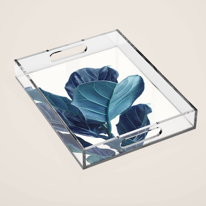 Fiddle Leaf Fig Plant - Fine Art Photography Acrylic Tray Gallery Image 1