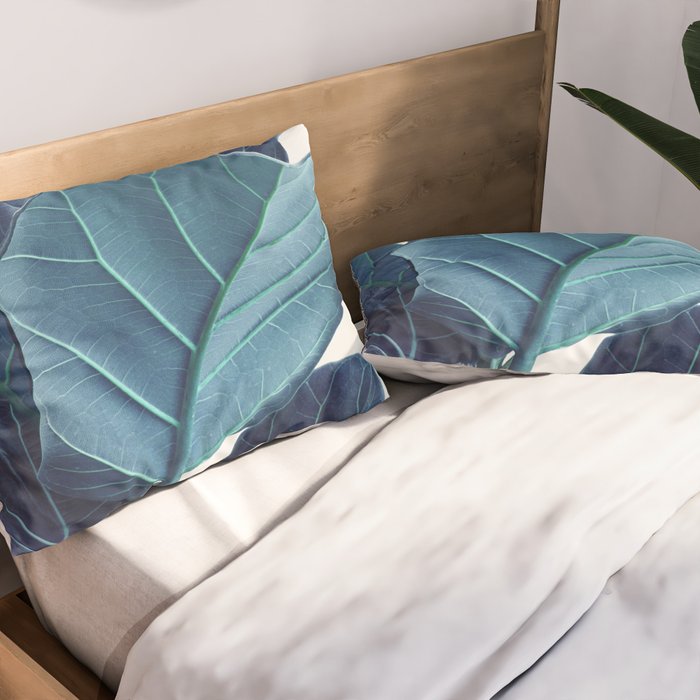 Fiddle Leaf Fig Plant - Fine Art Photography Pillow Sham Gallery Image 2