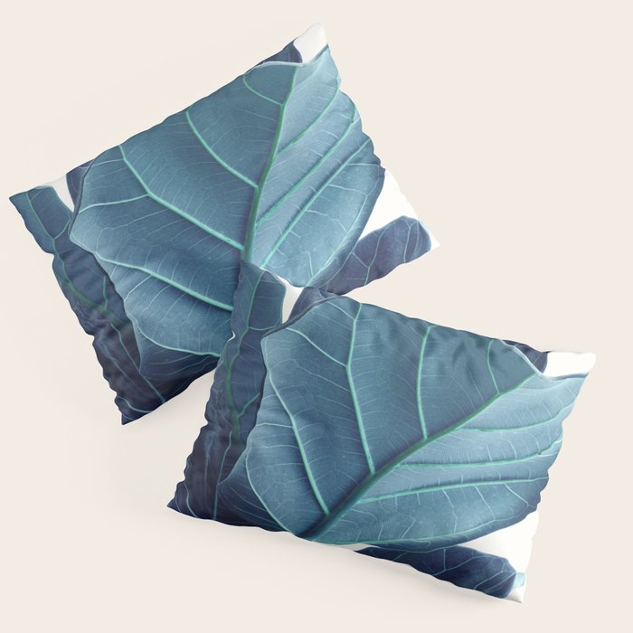Fiddle Leaf Fig Plant - Fine Art Photography Pillow Sham Gallery Image 3
