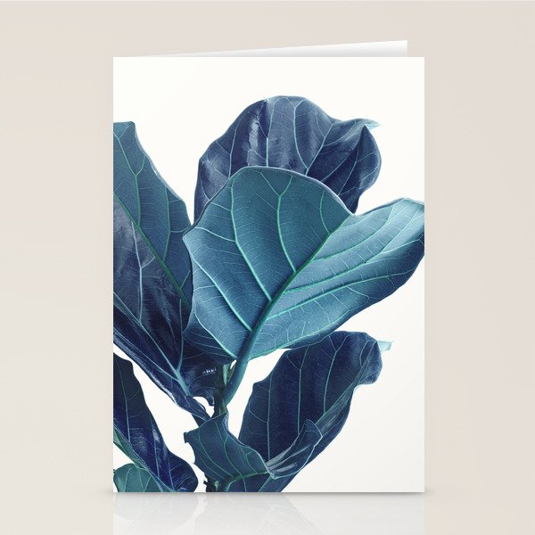 Fiddle Leaf Fig Plant - Fine Art Photography Stationery Card Gallery Image 2