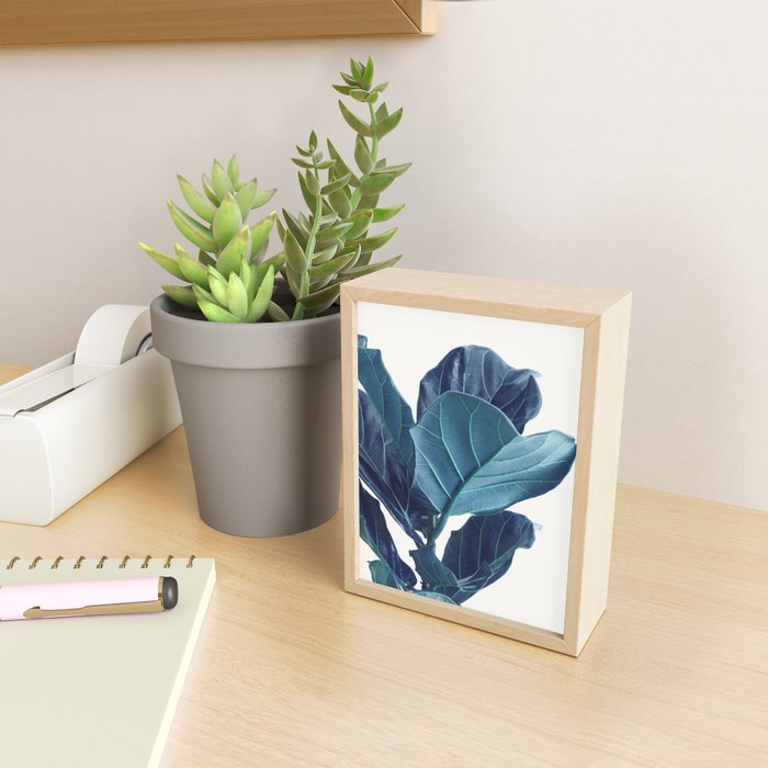 Fiddle Leaf Fig Plant - Fine Art Photography Mini Art Print Gallery Image 2