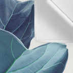 Fiddle Leaf Fig Plant - Fine Art Photography Wall Tapestry Gallery Image 3