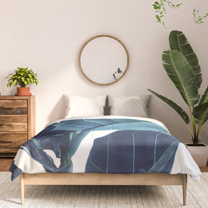 Fiddle Leaf Fig Plant - Fine Art Photography Comforter Gallery Image 3