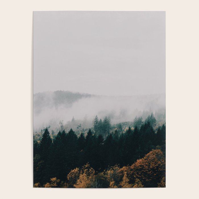 Forest Fog Poster Gallery Image 4