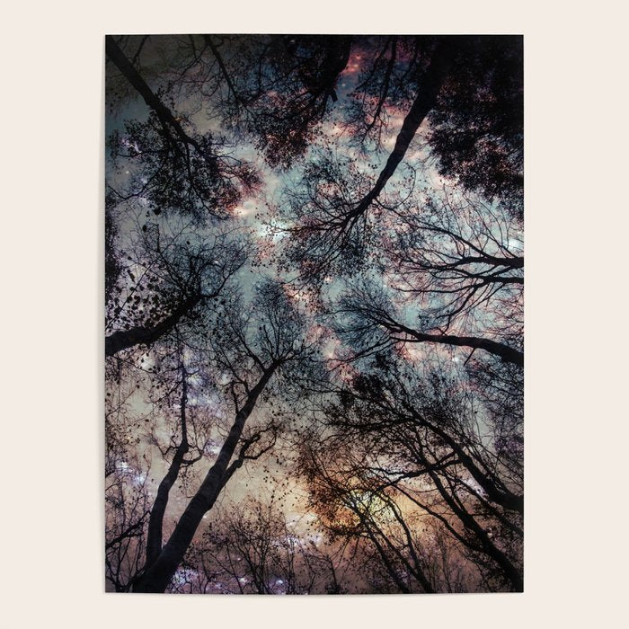 Starry Sky in the Forest Poster Gallery Image 4
