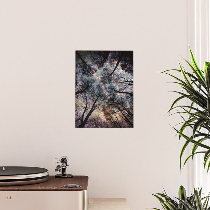 Starry Sky in the Forest Poster Gallery Image 2