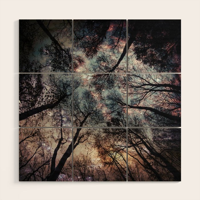 Starry Sky in the Forest Wood Wall Art Gallery Image 1