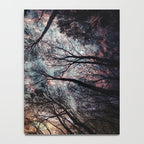 Starry Sky in the Forest Notebook Gallery Image 4