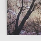 Starry Sky in the Forest Poster Gallery Image 3