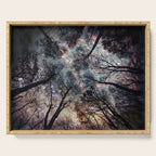 Starry Sky in the Forest Serving Tray Gallery Image 1