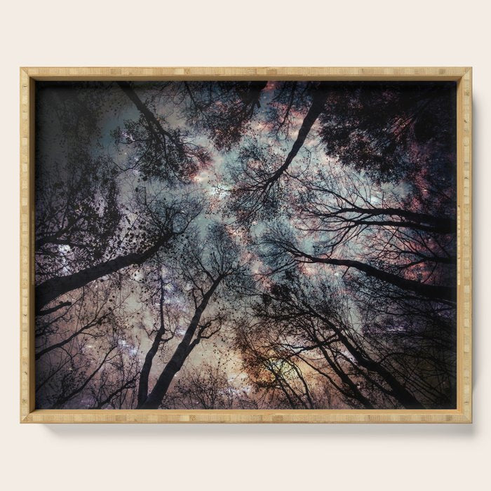 Starry Sky in the Forest Serving Tray Gallery Image 1