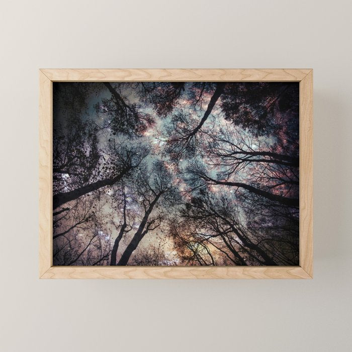 Starry Sky in the Forest Mini Art Print