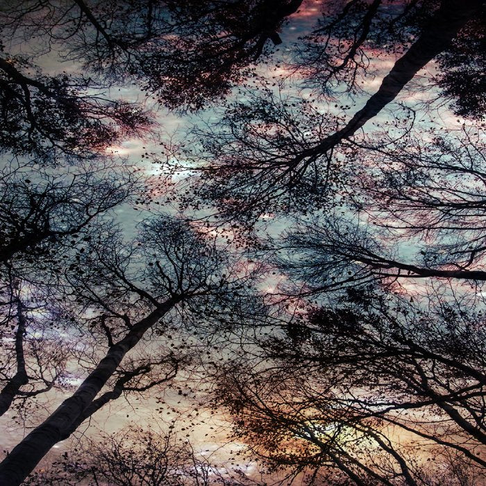 Starry Sky in the Forest Coffee Mug Gallery Image 2