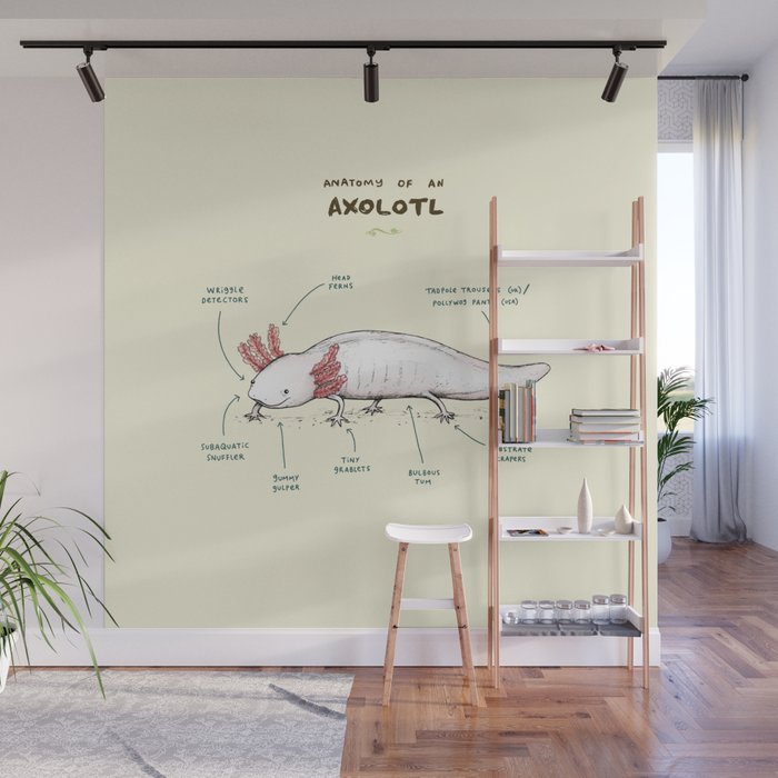 Anatomy of an Axolotl Wall Mural Gallery Image 1