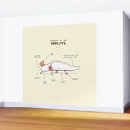 Anatomy of an Axolotl Wall Mural Gallery Image 2