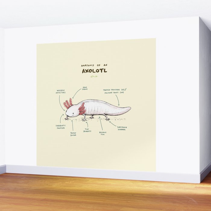 Anatomy of an Axolotl Wall Mural Gallery Image 2