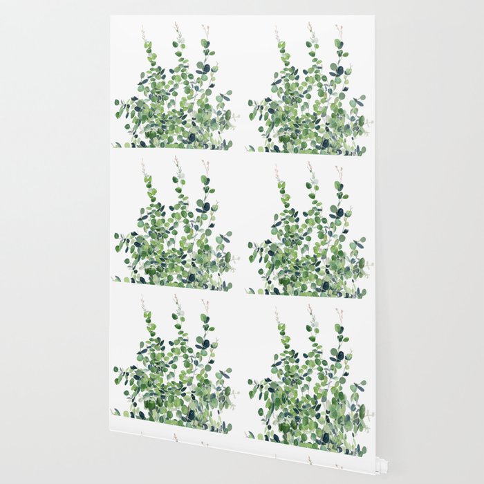Eucalyptus  Wallpaper Gallery Image 2