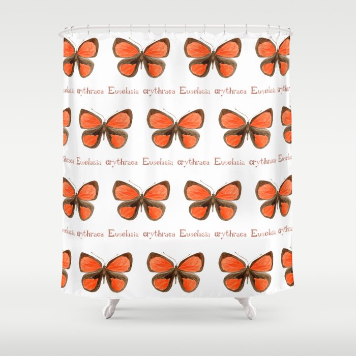 Butterfly - Euselasia erythraea Shower Curtain Gallery Image 1