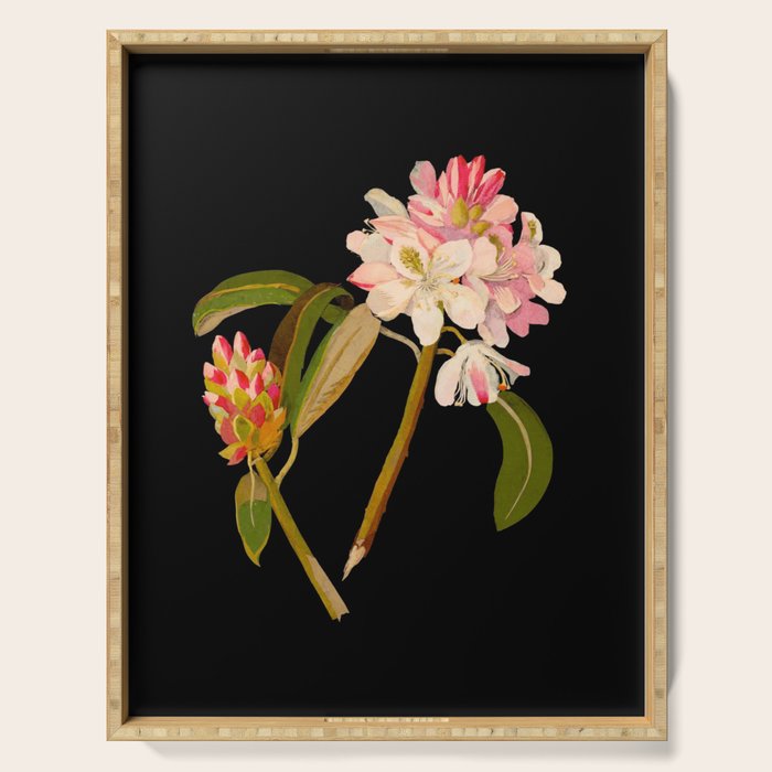 Rhododendron Maximum  by Mary Delany Paper Collage Floral Flower Botanical Paper Mosaic Vintage Scientific Plant Anatomy Serving Tray Gallery Image 1