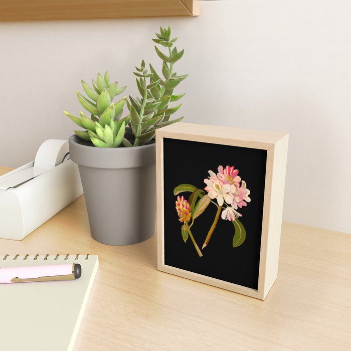 Rhododendron Maximum  by Mary Delany Paper Collage Floral Flower Botanical Paper Mosaic Vintage Scientific Plant Anatomy Mini Art Print Gallery Image 2