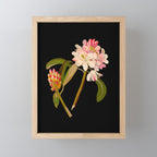 Rhododendron Maximum  by Mary Delany Paper Collage Floral Flower Botanical Paper Mosaic Vintage Scientific Plant Anatomy Mini Art Print Gallery Image 1