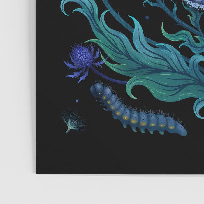Thistle Home Poster Gallery Image 3