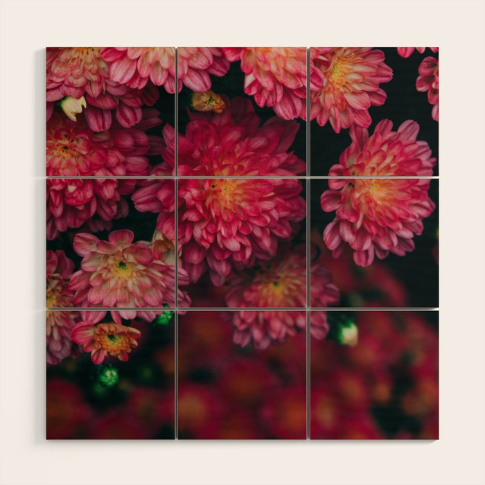 Autumn Vibes - Boho Rose Flowers Wood Wall Art Gallery Image 1