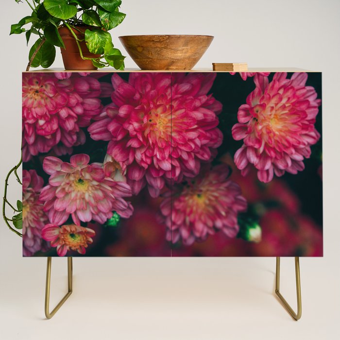 Autumn Vibes - Boho Rose Flowers Credenza Gallery Image 1