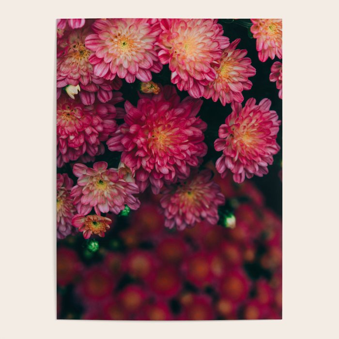 Autumn Vibes - Boho Rose Flowers Poster Gallery Image 4