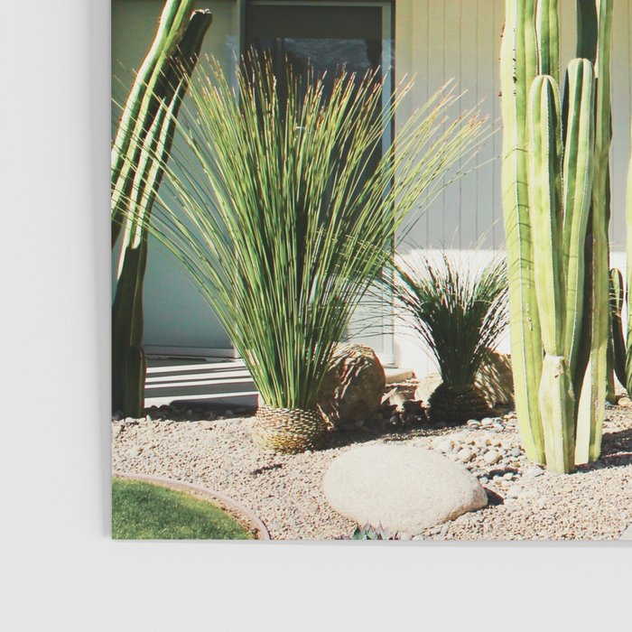 Palm Springs II Poster Gallery Image 3